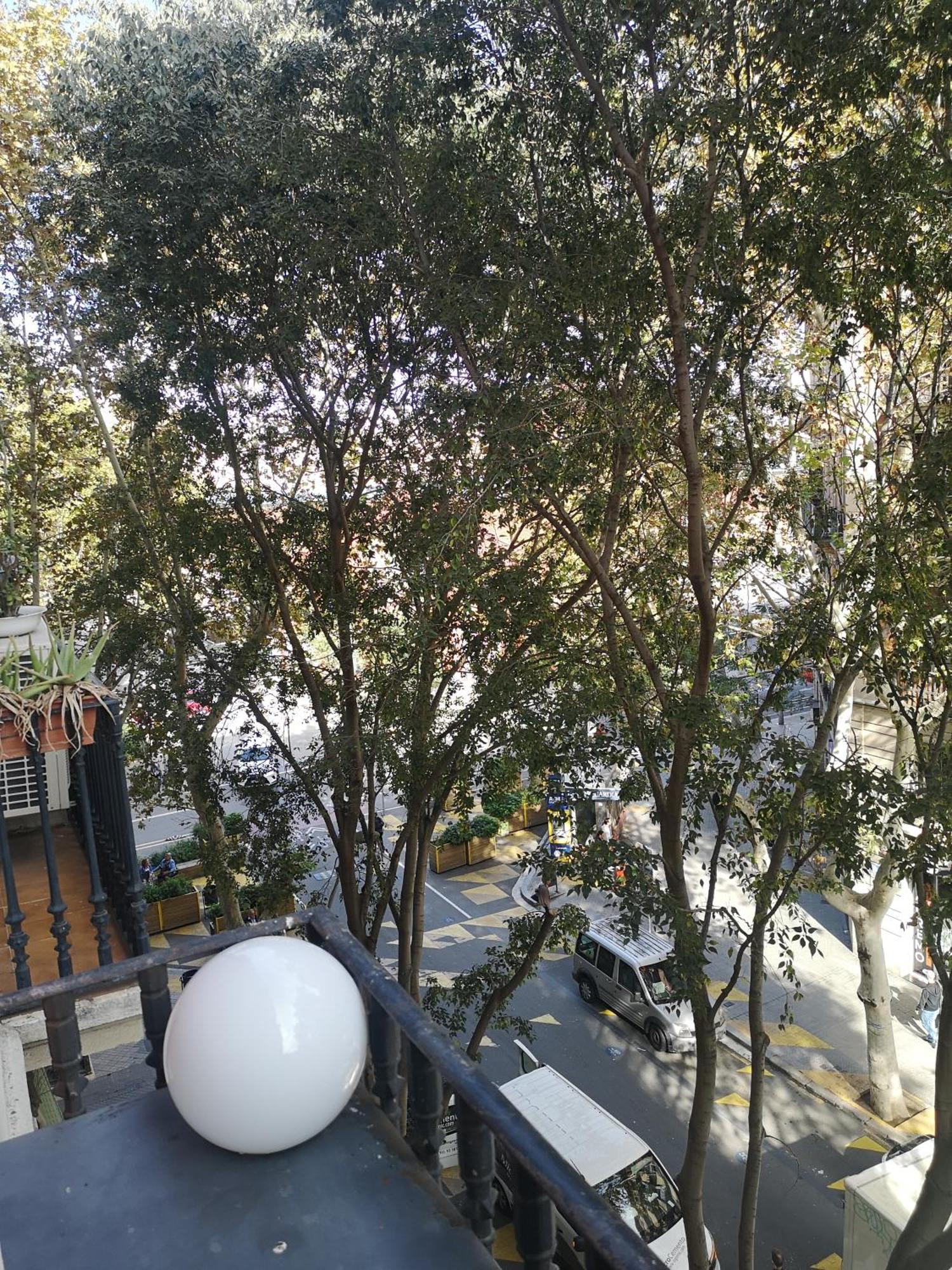 Aparteasy - Family Sant Antoni Apt. バルセロナ エクステリア 写真